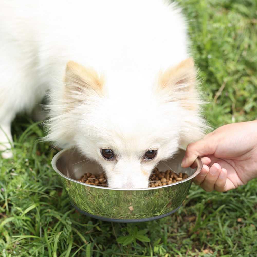 Stainless Steel Dog Bowl Custom Metal Anti Skid Pet Bowl Food Grade