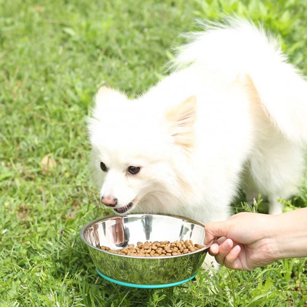 Stainless Steel Dog Bowl Custom Metal Anti Skid Pet Bowl Food Grade