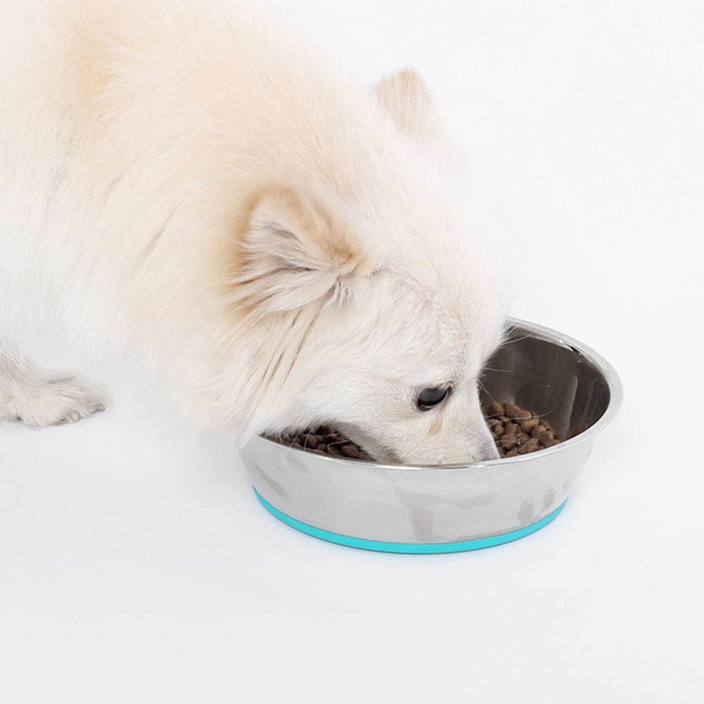 Stainless Steel Dog Bowl Custom Metal Anti Skid Pet Bowl Food Grade