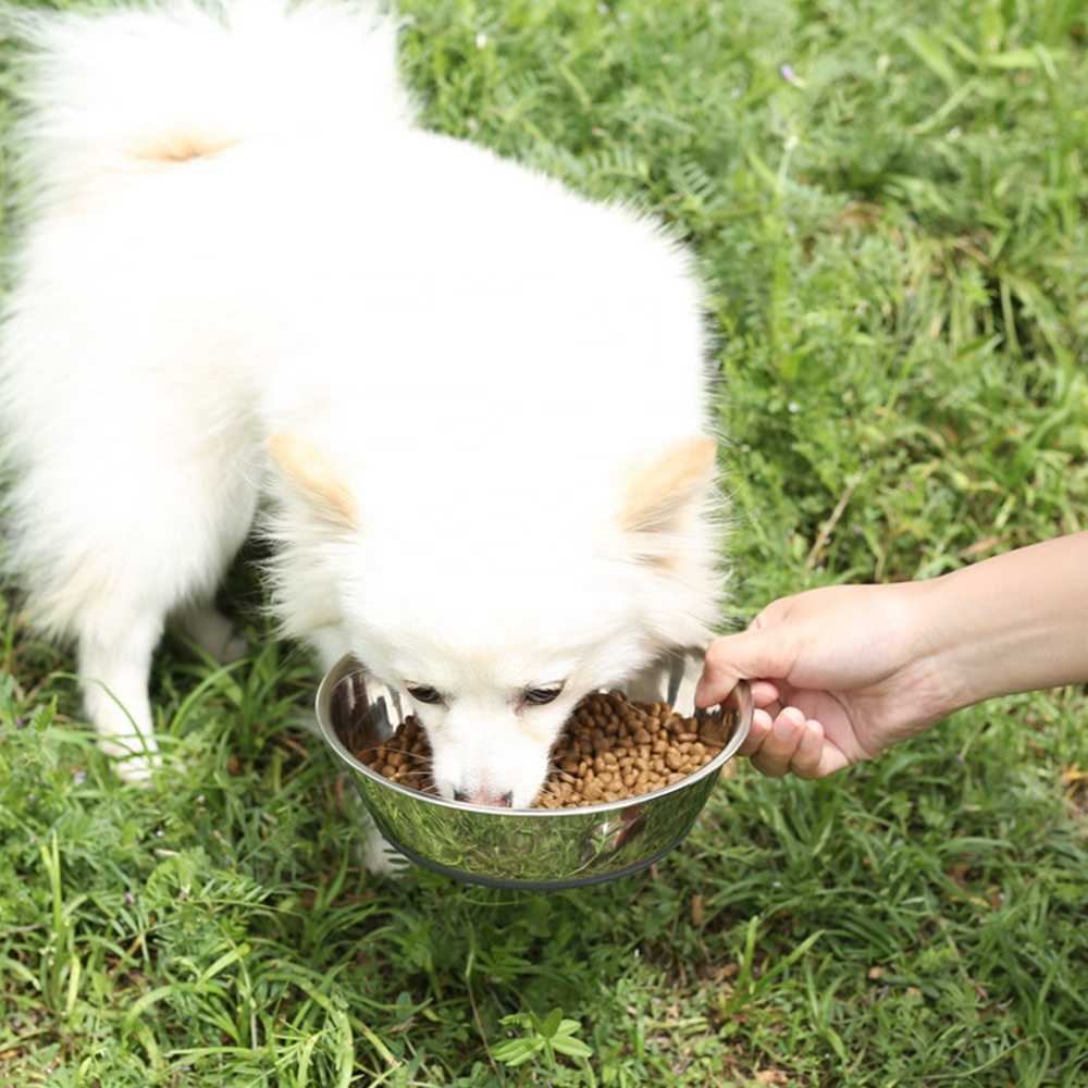 Stainless Steel Dog Bowl Custom Metal Anti Skid Pet Bowl Food Grade