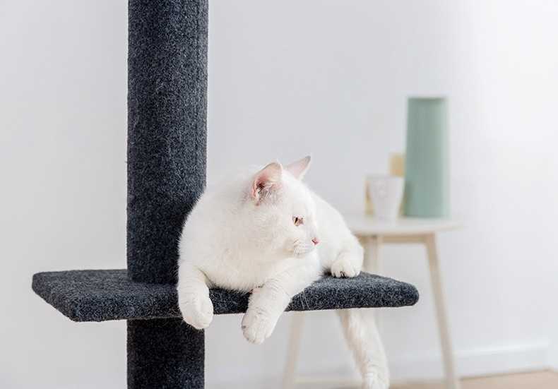 Super Tall Cat Scratching Tree Post Cat Climbing Rack Grinding Climbing Scratching