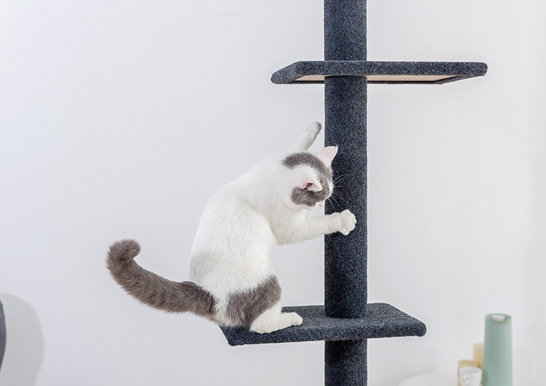 Super Tall Cat Scratching Tree Post Cat Climbing Rack Grinding Climbing Scratching