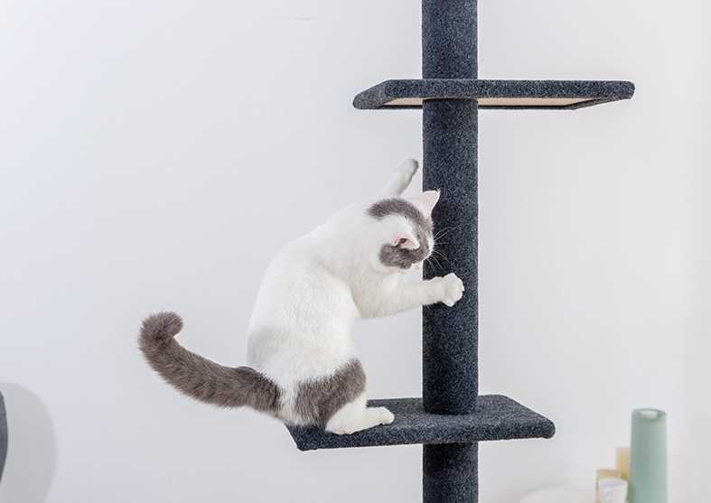 Super Tall Cat Scratching Tree Post Cat Climbing Rack Grinding Climbing Scratching