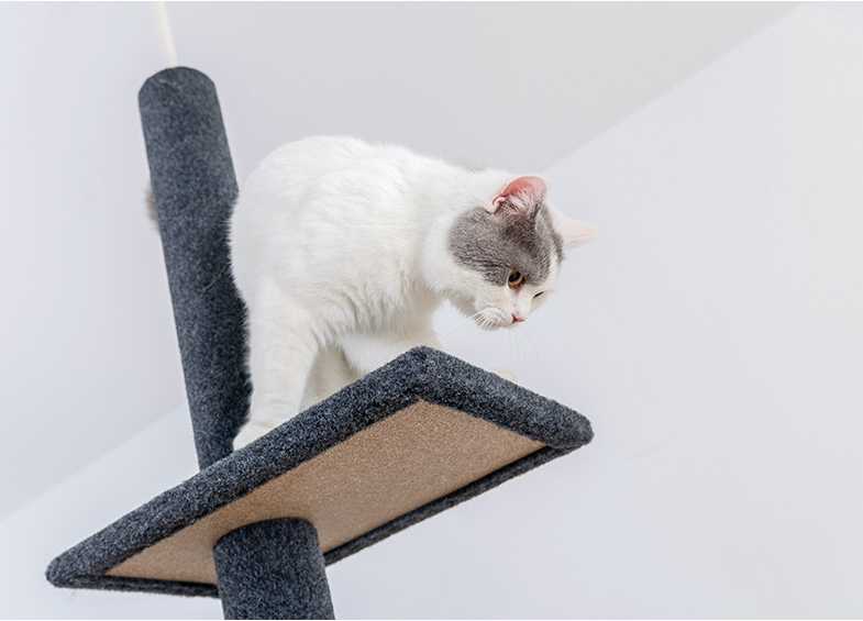 Super Tall Cat Scratching Tree Post Cat Climbing Rack Grinding Climbing Scratching