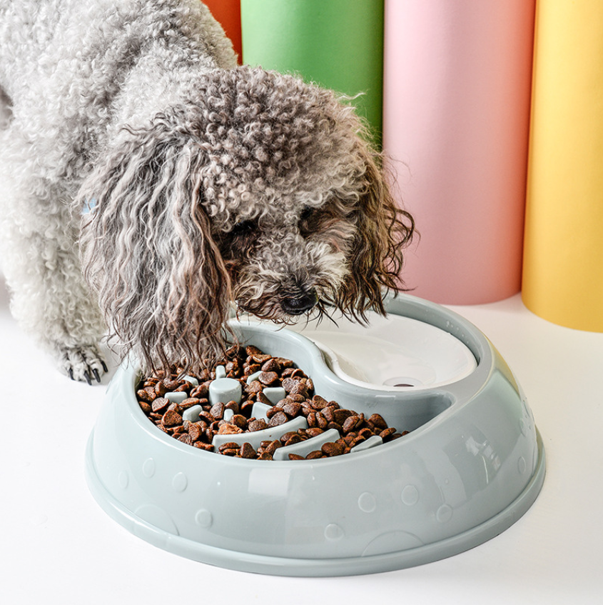 Teddy Medium Small Dog Plastic NonSlip Food Bowl Pet Slow Feeder Dog Bowl