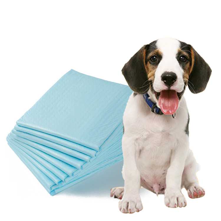 Indoor Super Absorbent LeakFree Disposable Training Pet Pee Pad Mat Supplies