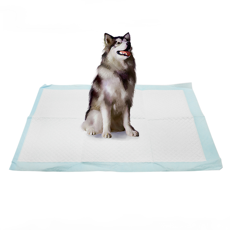 Quick Dry Dog Potty Mat Pad Private Label Dog Training Pee Pads