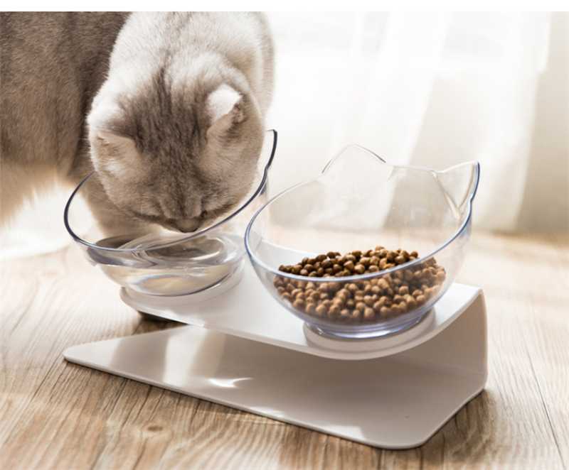 15 Degree Bevel Nonslip Pets Feeder Double Water Bowl Neck Protection Cat Bowl