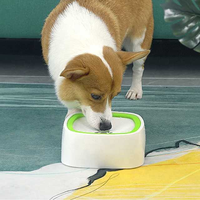 Amazon Anti Overflow Slow Drinking Water Pet Bowl Feeder Dog Cat