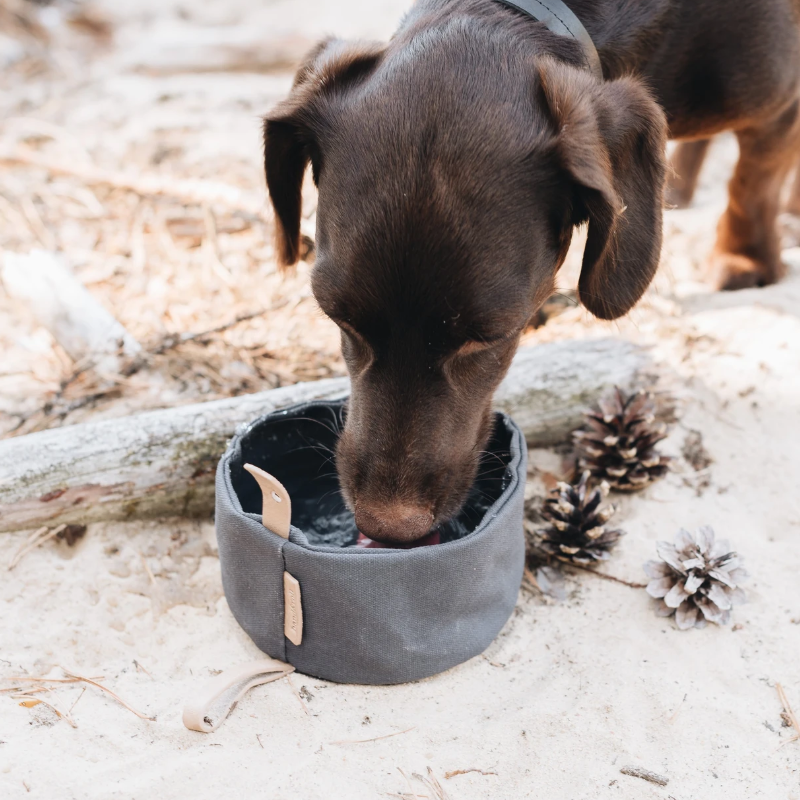 Custom Travel Dog Bowl Pet Bowls Cat Food Bowls Water Or Feed Container