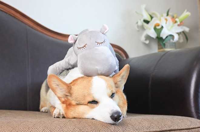 Pet Anxiety Companion Sleep Toy Dog Interactive Plush Heartbeat Hippo Toy Pet Toy