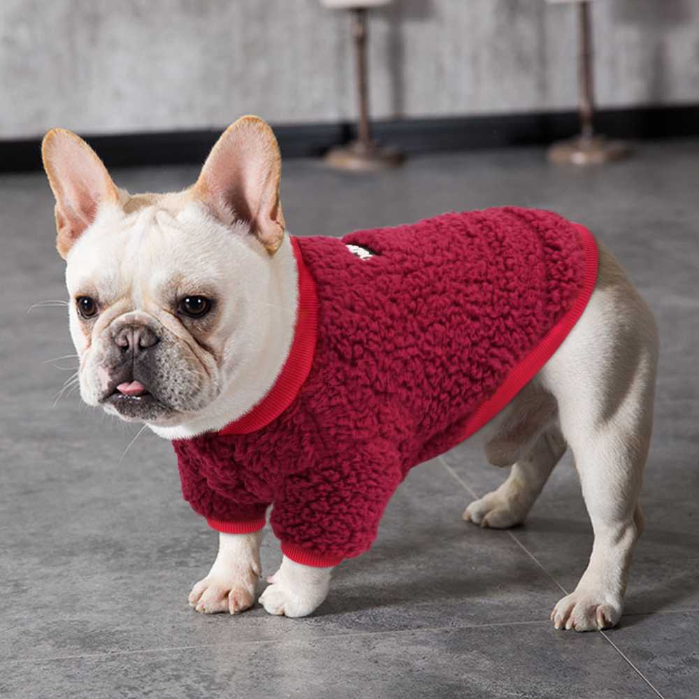 Small Dog Coat Jacket Winter Clothes Dog Puppy Pet Clothing Small Medium Dogs