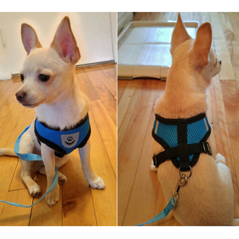Breathable Mesh Small Dog Pet Harness Leash Set Puppy Cat Vest Collar