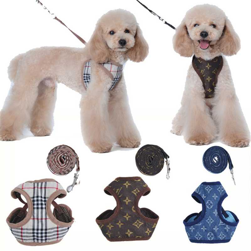 Custom Adjustable Small Dog Harness Leash Set Pet Accessories Vest Dog Leashes Easy Walking