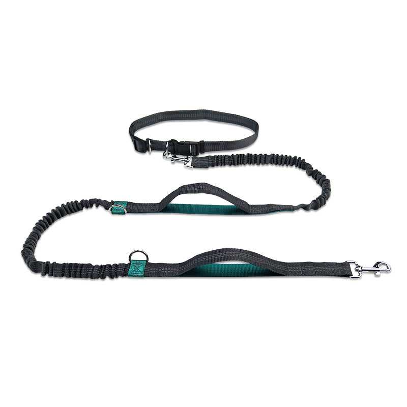 Portable Running Training Print Lead Traction Rope Strap Supplies Pet Collar Set Dog Leash Hands