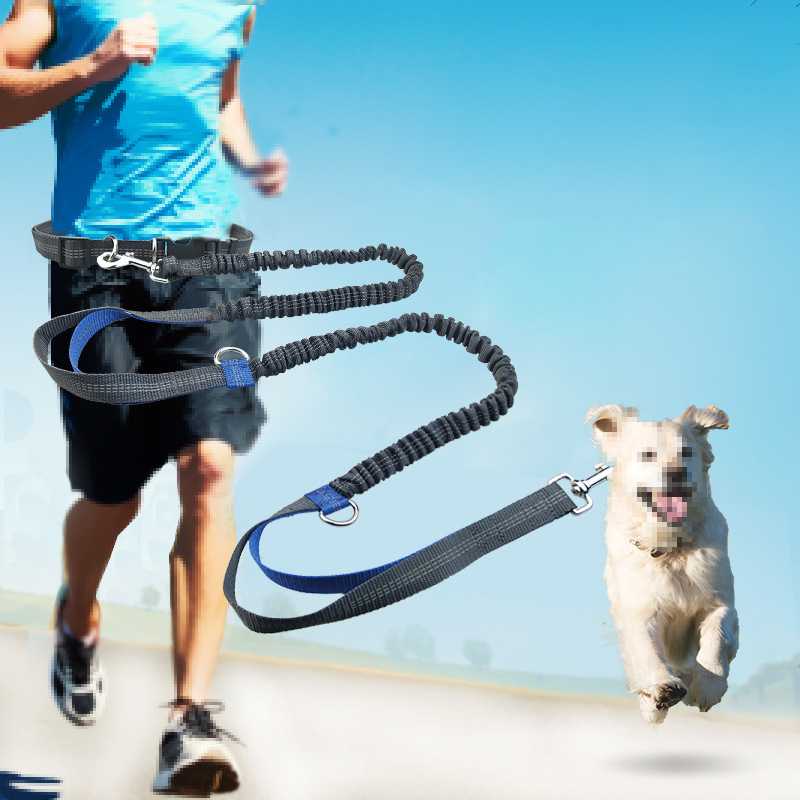 Portable Running Training Print Lead Traction Rope Strap Supplies Pet Collar Set Dog Leash Hands