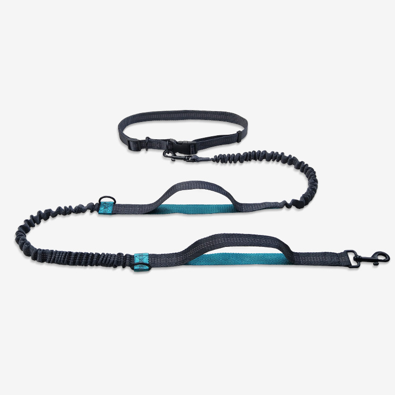 Portable Running Training Print Lead Traction Rope Strap Supplies Pet Collar Set Dog Leash Hands