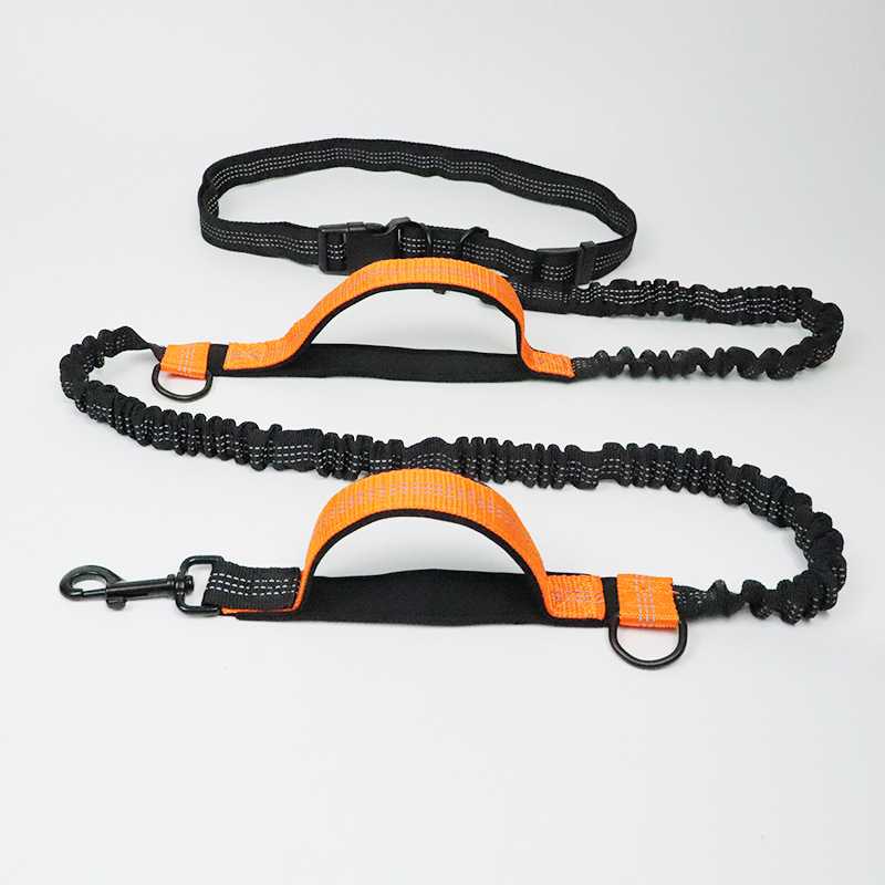 Portable Running Training Print Lead Traction Rope Strap Supplies Pet Collar Set Dog Leash Hands