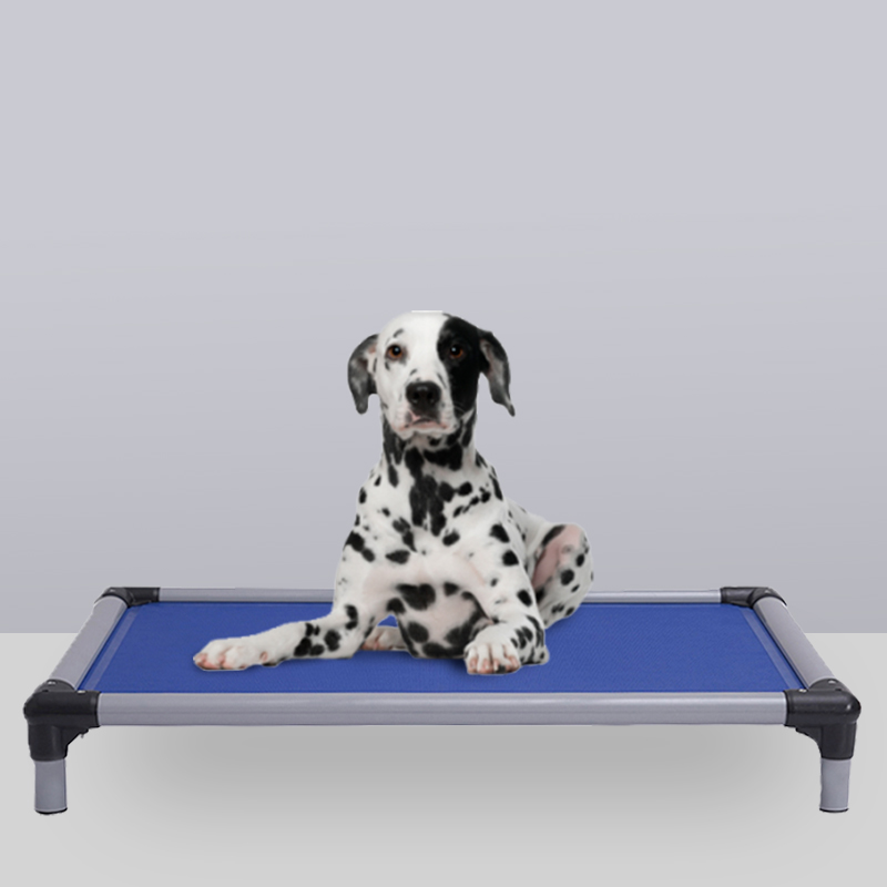 Comfort Cooling Elevated Pet Bed Dog