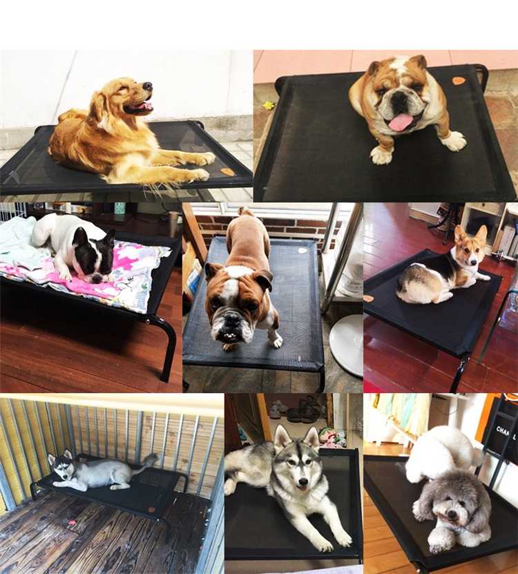 Heavy Duty SteelFramed Portable Original Elevated Dog Cot Bed 35/43/49 Inches Large Raised Pet Bed