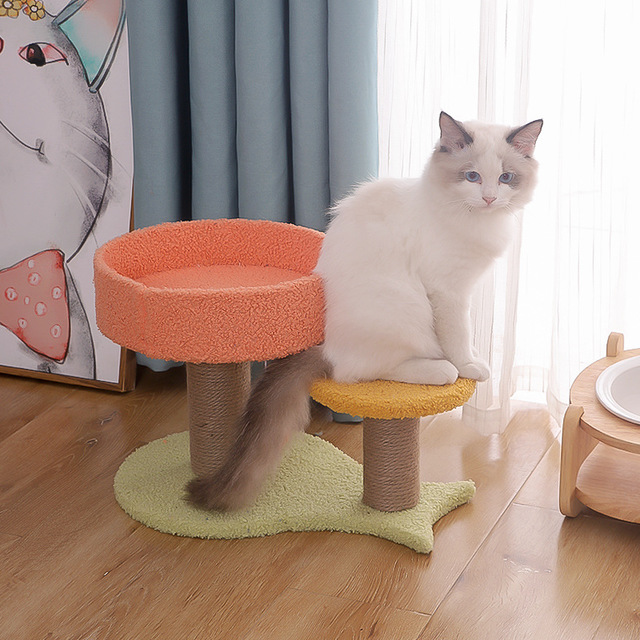 Cat Cave House Bright Color Twolayer Wood Cat Tree Playing Cat Tower With Sisal Scratching Post