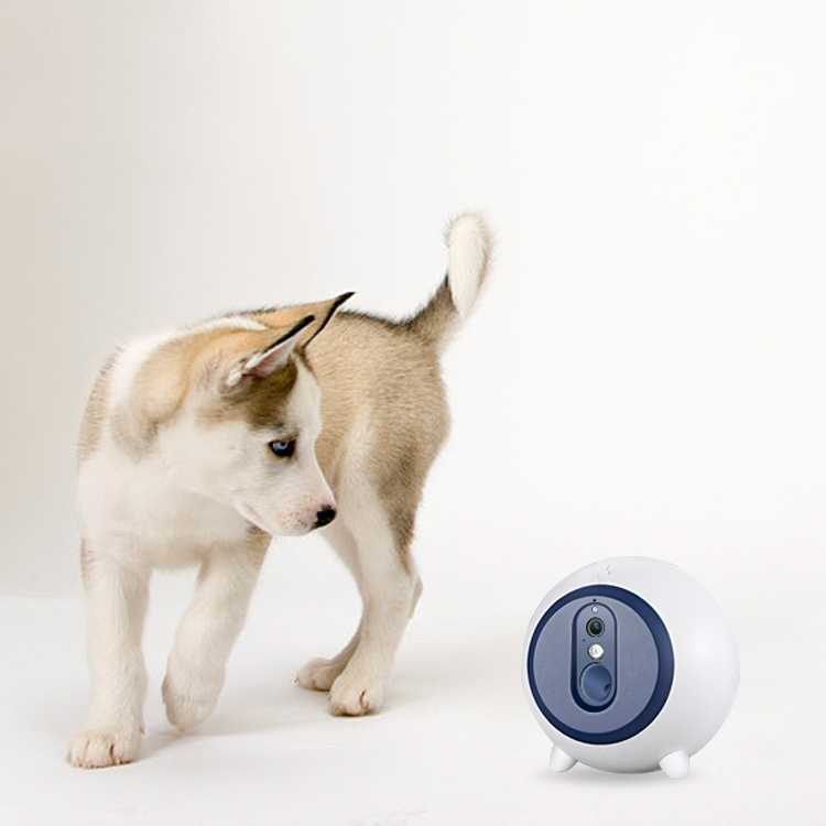 Inventions Pet Dog Cat Smart Companion Robot Electronic Pet Toy Treat Shooter Dispenser