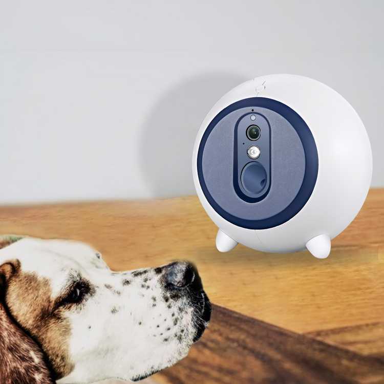 Inventions Pet Dog Cat Smart Companion Robot Electronic Pet Toy Treat Shooter Dispenser