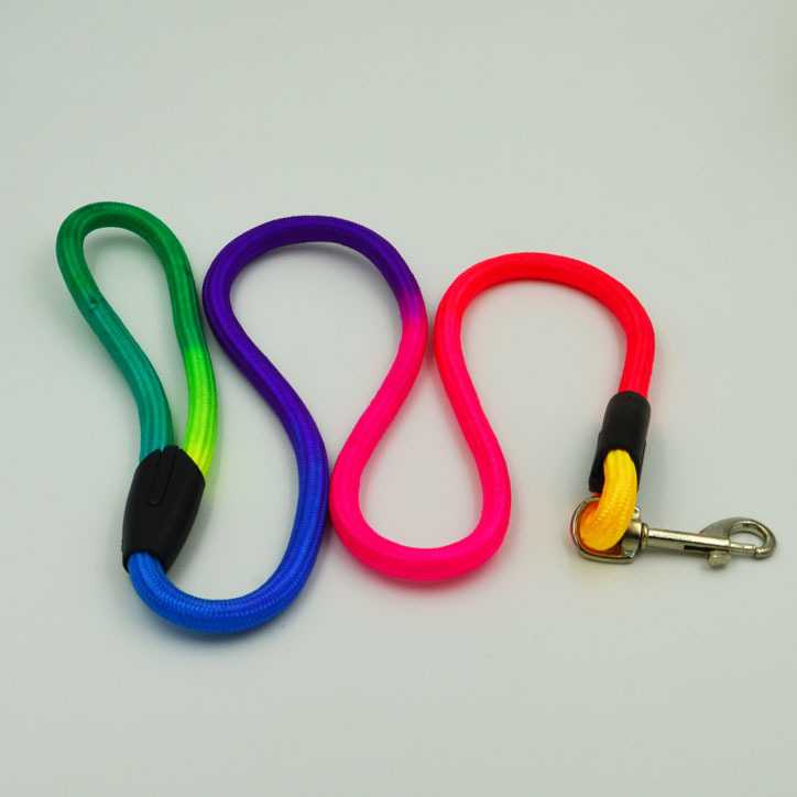 Nylon Pet Leash Gradient Color Leashes Small Medium Dogs