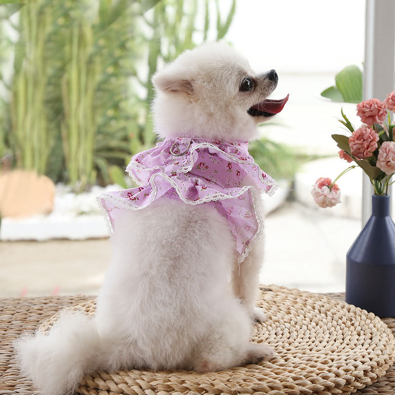 Cute Princess Soak Small Floral Lace Teddy Bichon Summer Spring Pet Harness Set Dog Harness Custom Dog Dresses Pet Harness