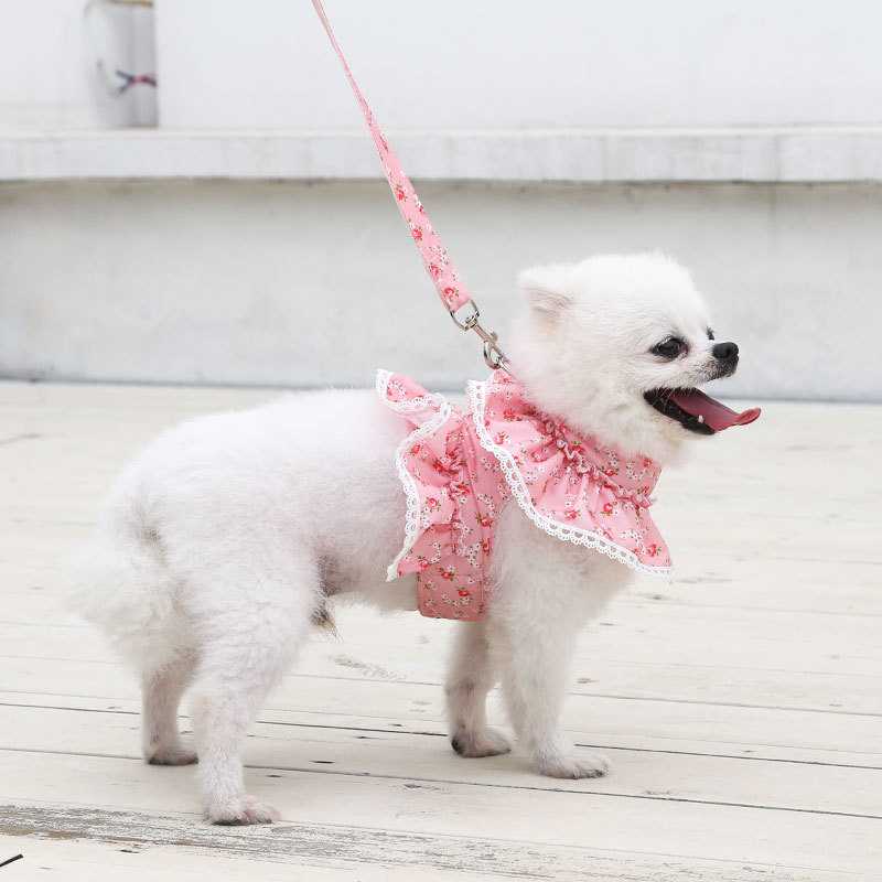 Cute Princess Soak Small Floral Lace Teddy Bichon Summer Spring Pet Harness Set Dog Harness Custom Dog Dresses Pet Harness