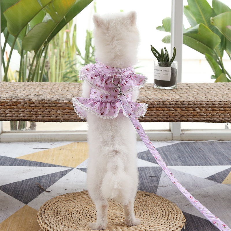 Cute Princess Soak Small Floral Lace Teddy Bichon Summer Spring Pet Harness Set Dog Harness Custom Dog Dresses Pet Harness