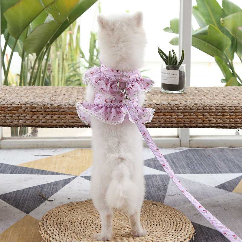 Cute Princess Soak Small Floral Lace Teddy Bichon Summer Spring Pet Harness Set Dog Harness Custom Dog Dresses Pet Harness