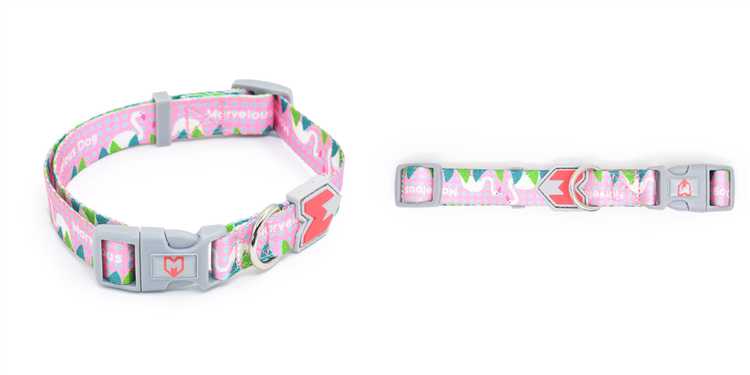 Soft Green Polyester Custom Logo Printing Dog Pet Collar Manufacturer