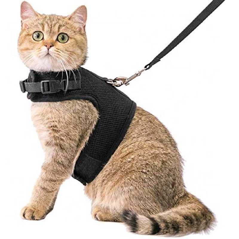 Black Air Mesh Collar Cat Harness Adjustable Pet Cat Vest Harnesses Reflective Cat Harness Leash Set Walking