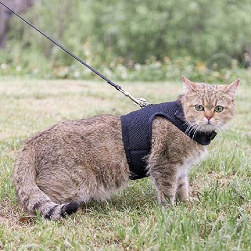 Black Air Mesh Collar Cat Harness Adjustable Pet Cat Vest Harnesses Reflective Cat Harness Leash Set Walking