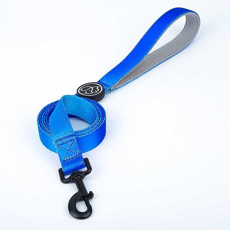 Blue Gradient Color Nylon Hands Pet Leash Ready To Ship