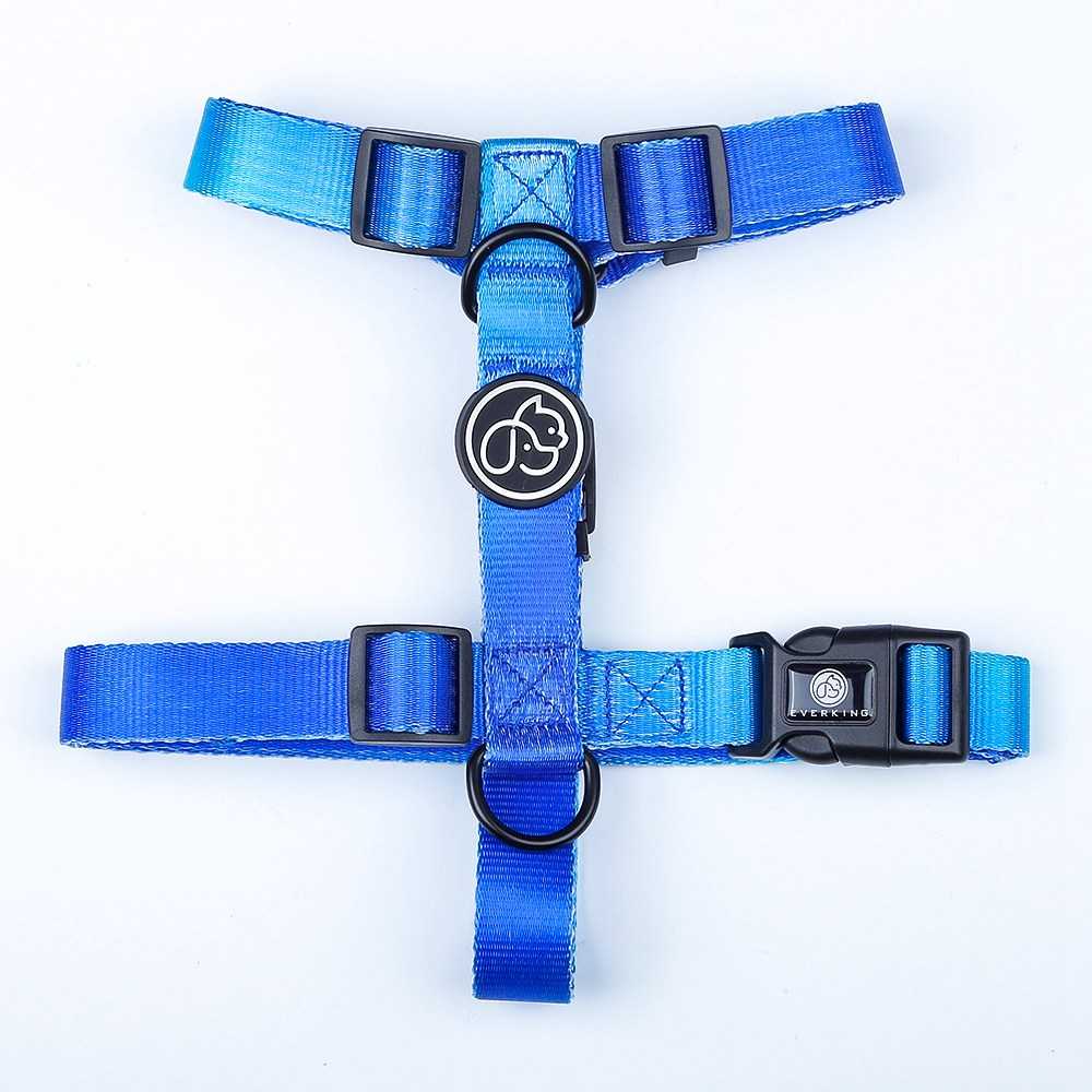 Blue Gradient Color Nylon Hands Pet Leash Ready To Ship