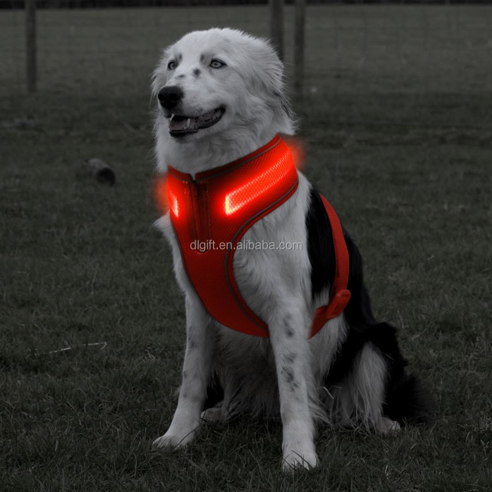 Dog Leash Lead/ Pet Collar Flashing LED Lighted Dog Lead Dog Harness/Pet Leashes