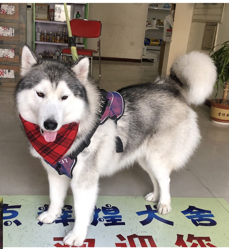 Amazon Plaid Washable Square Dog Bow Ties Custom Adjustable Bibs Scarf Pet Dog Bandana
