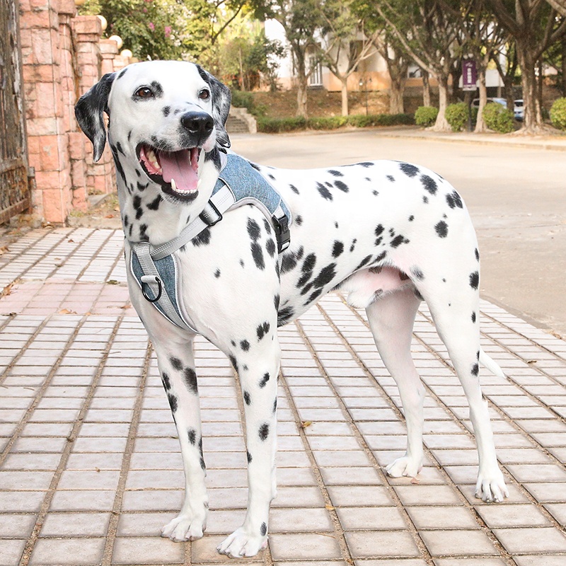 Amazon Top Seller Custom Big Reversible Adjustable Soft Dog Harness Set No Pull Reflective