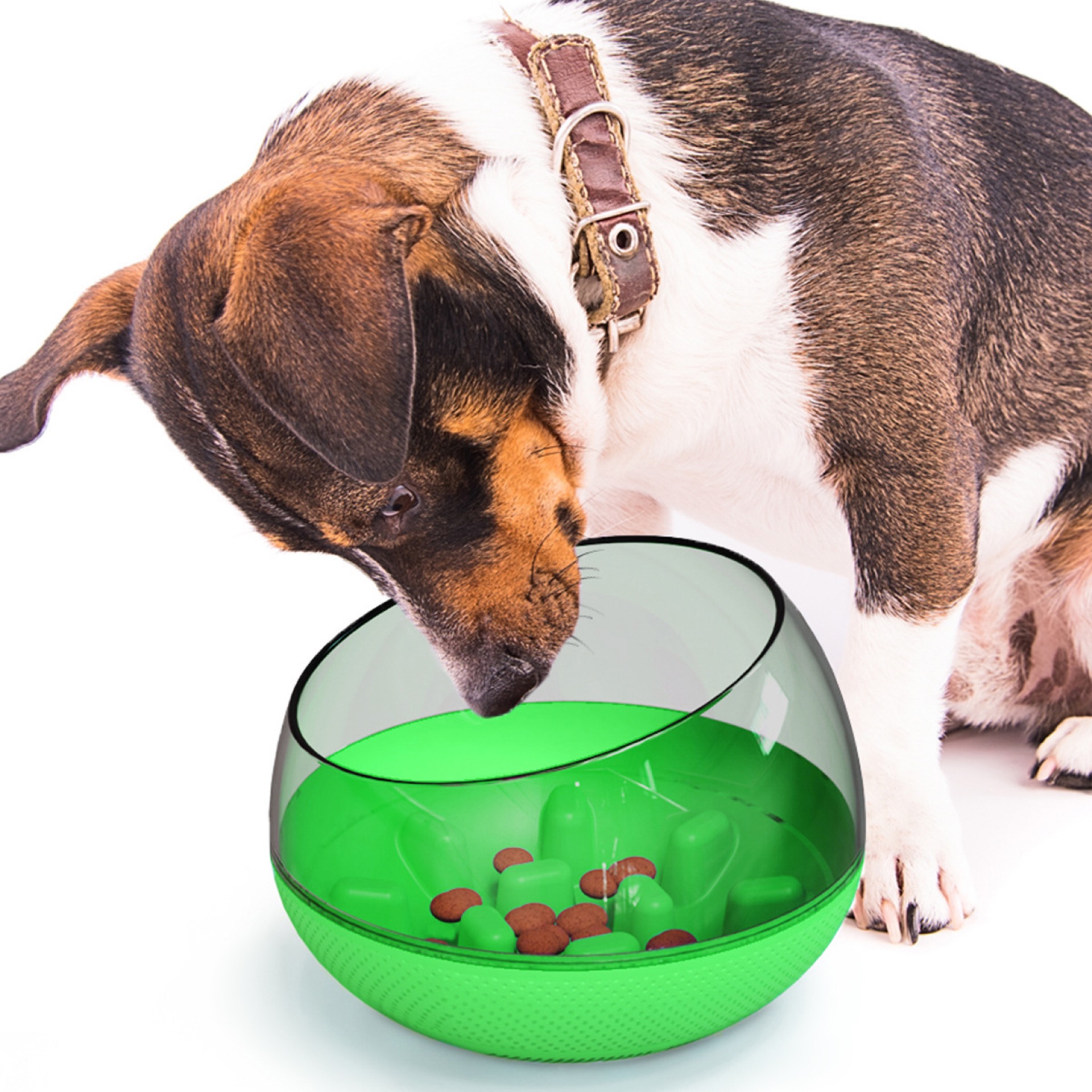 Pet Supplies Durable Dog Cat Slow Feeders Not Tip Over Pet Bowls