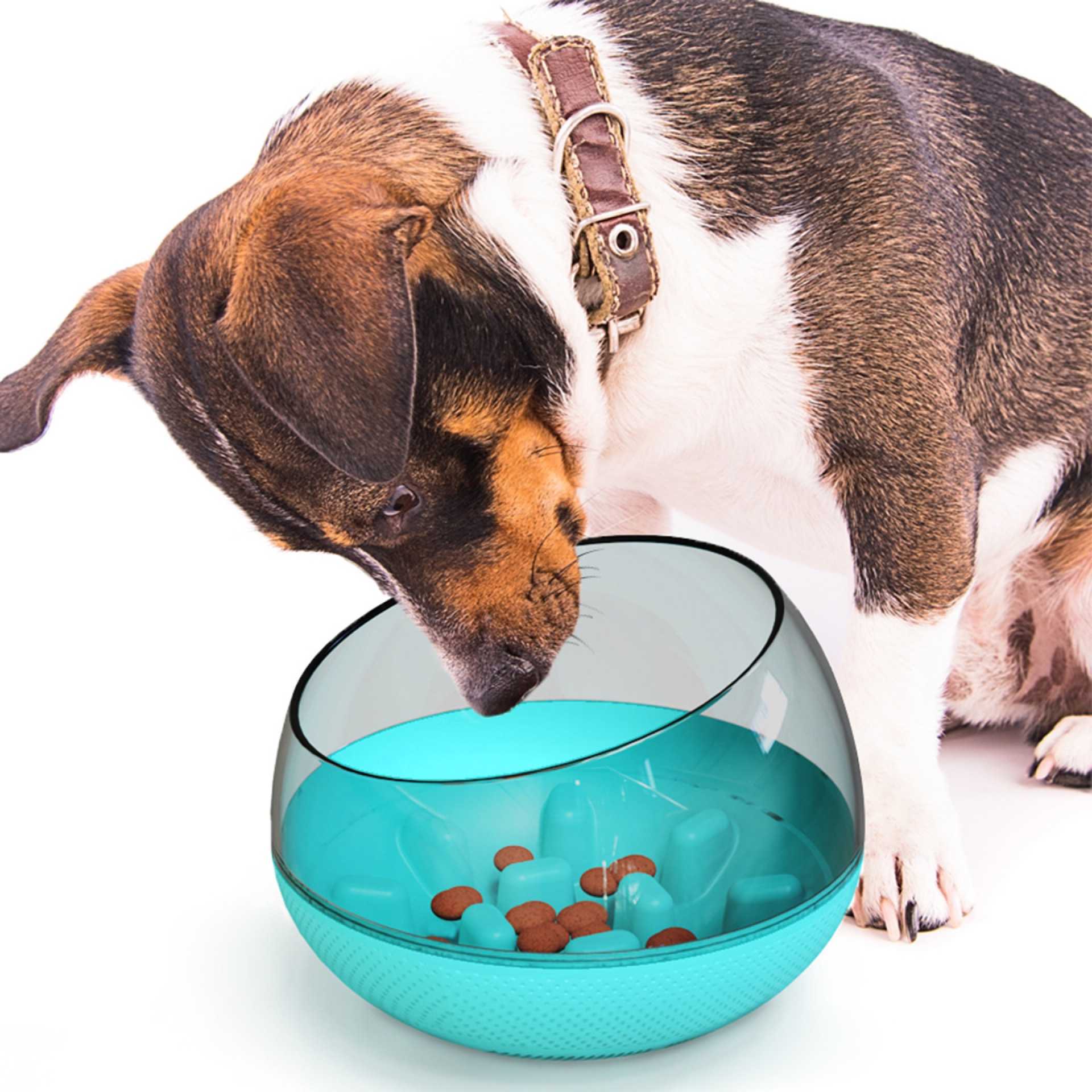 Pet Supplies Durable Dog Cat Slow Feeders Not Tip Over Pet Bowls