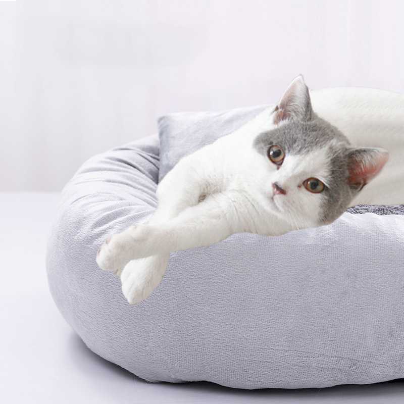 Small Dog Beds Furniture Pet Suppliers Soft Pet Bed Short Plush Dog Cat Beds