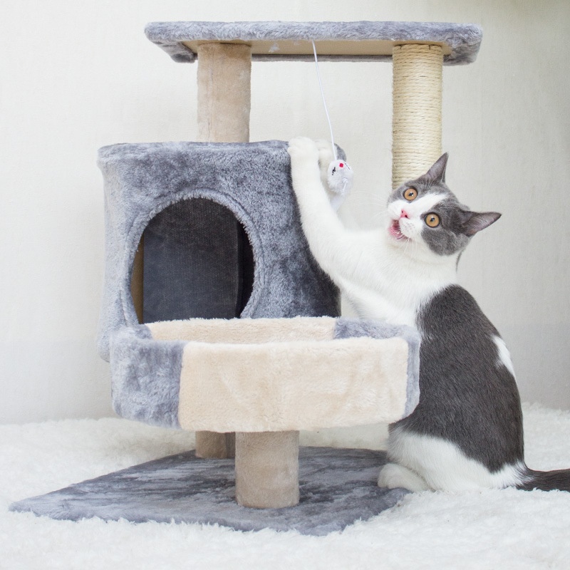Small Mediumsized Cat Climbing Frame Cat Scratching Post Cat Tree House With Mouse Toys