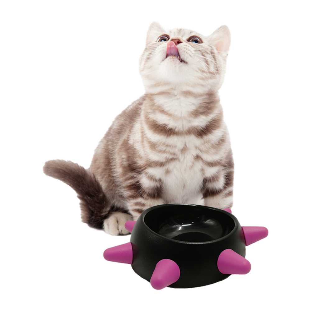 Cute Cool Pet Bowl Dog Cat Water Food Feeder No Tip Skid Bowls Small Dog Cat