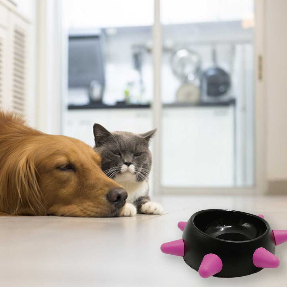 Cute Cool Pet Bowl Dog Cat Water Food Feeder No Tip Skid Bowls Small Dog Cat