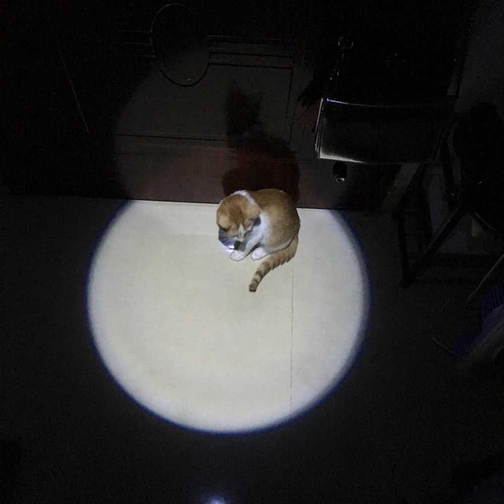 Cat Chaser Toy Safe Pet Toys Small Red Light Cat Laser Pointer