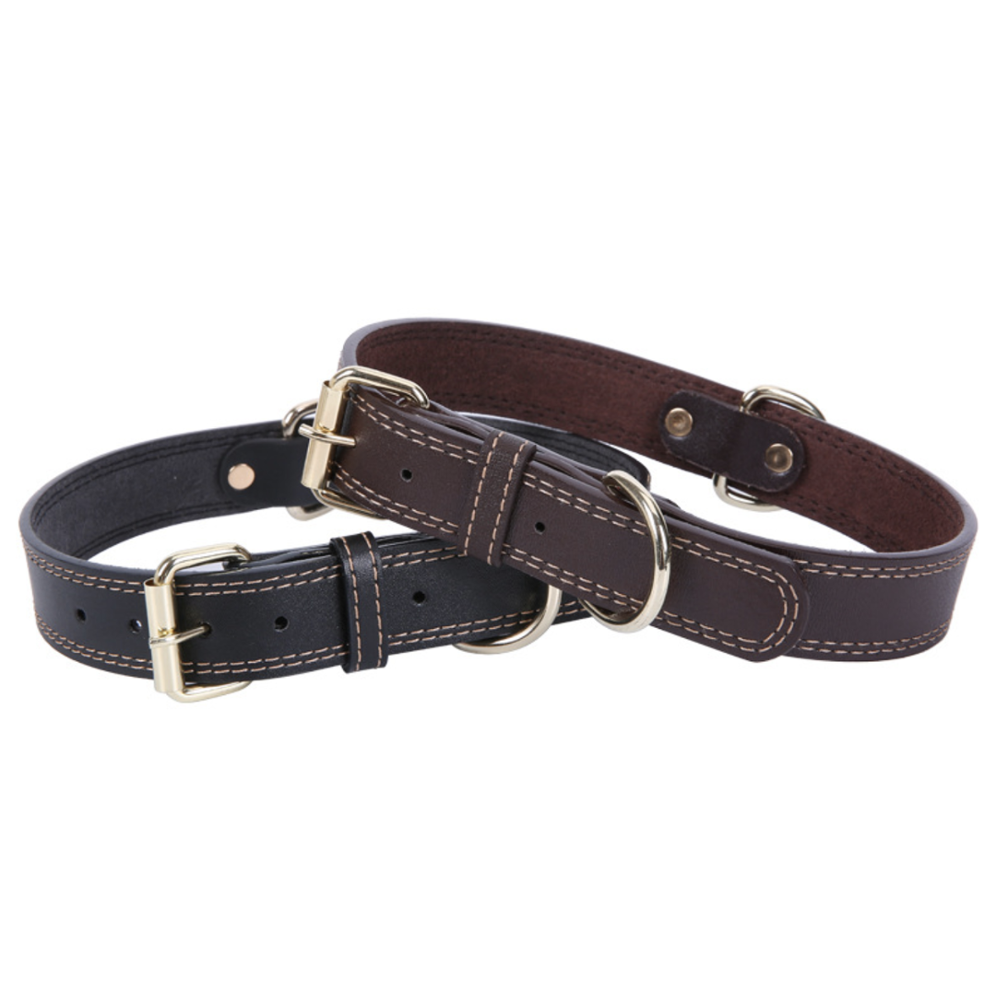 Direct Highend Large Leather Pet Training Dog Collar