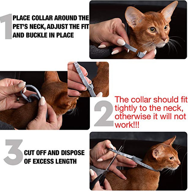 Amazon Top Seller Customised Logo Packing Pet Flea Tick Collar Dogs Cats Adjustable Dog Flea Collar