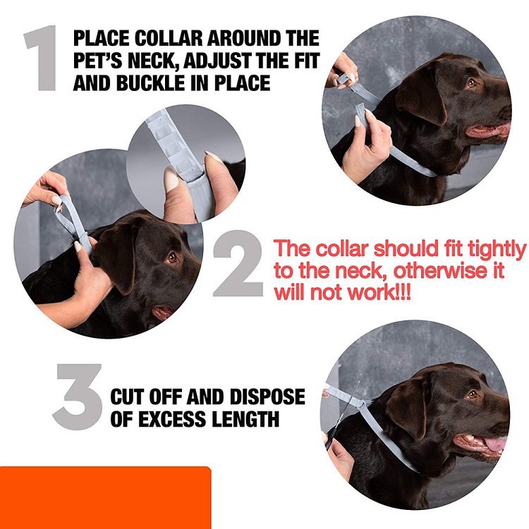 Amazon Top Seller Customised Logo Packing Pet Flea Tick Collar Dogs Cats Adjustable Dog Flea Collar